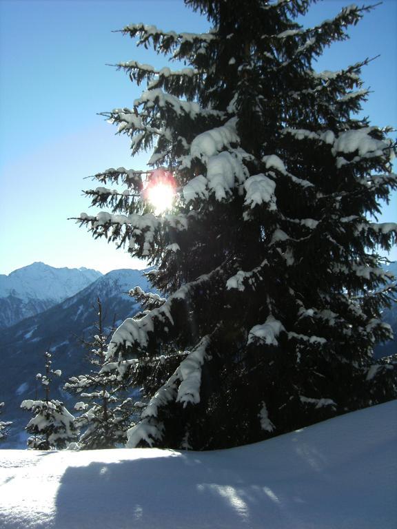 Apartment Hohe Tauern Bramberg am Wildkogel Exterior foto